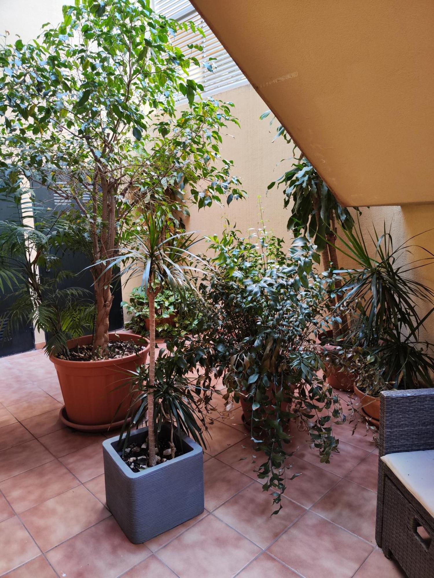 Appartamento Malaga Experience Esterno foto